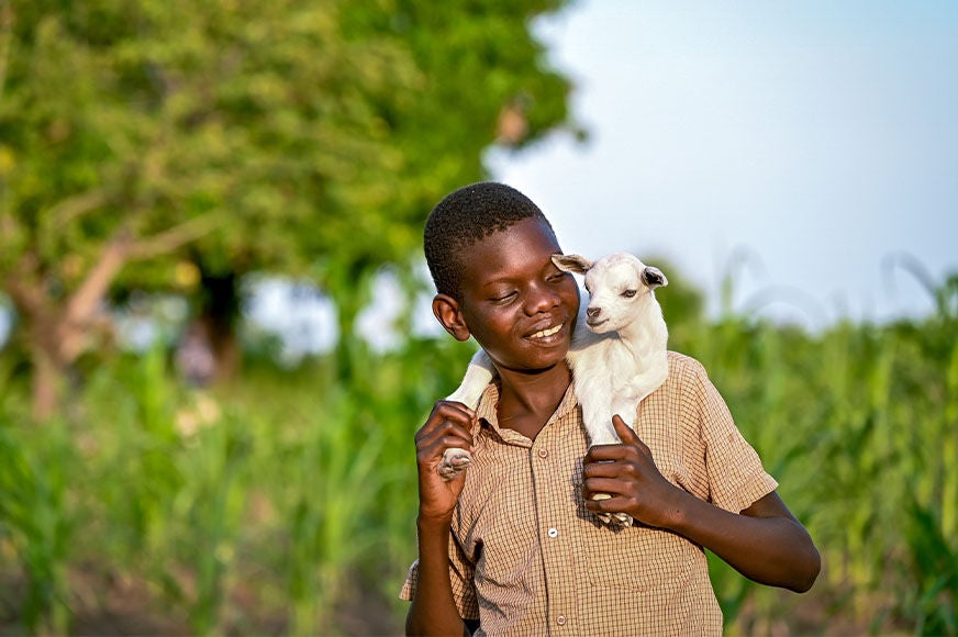 Jerry, 14, carries one of his family’s goats, Peace, on his shoulders. The manure from goats can help to fertilize fields, allowing families to grow and harvest more crops.