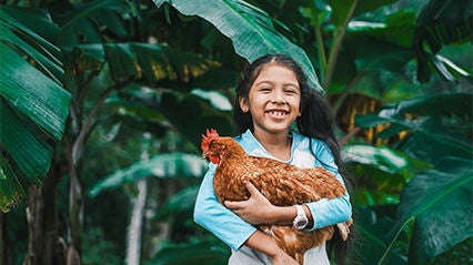 A girl wearing a blue and white shirt, holds a chicken on her family’s farm. (Honduras, 2023).