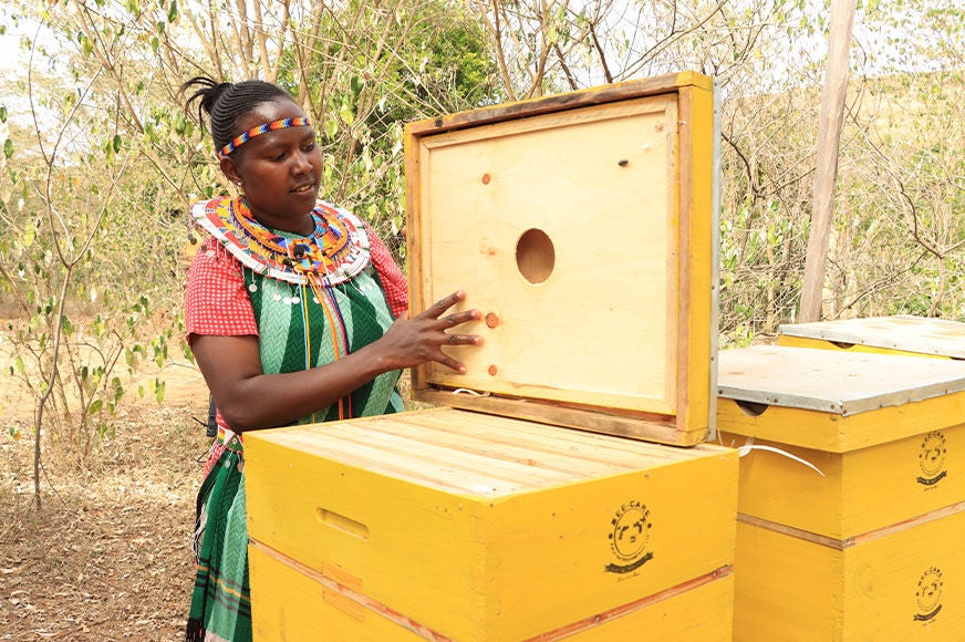 Silverna inspects a few of her family’s beehives. Bees produce by-products that can be eaten or sold in markets, such as nutritious honey, propolis, beeswax and royal jelly.