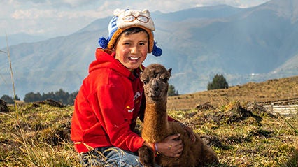 A boy sits outdoors in Ecuador’s Andean highlands beside an alpaca. (Ecuador, 2019).