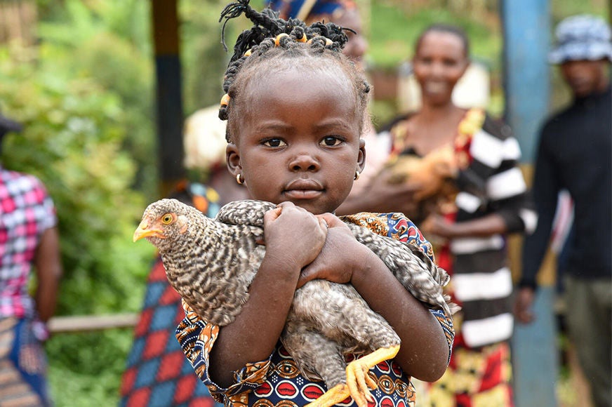 A child is carrying a hen during a World Vision Canada Gift Catalogue project in Kirumba, Democratic Republic of Congo. (Democratic Republic of Congo, 2023)