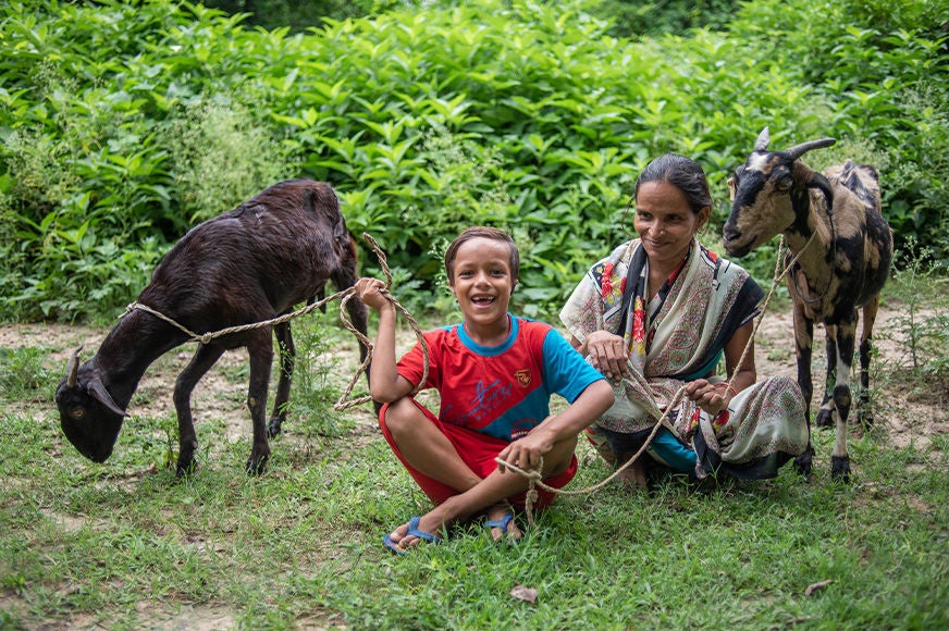  A boy and his mom sit in the grass in between two goats. (India, 2022).