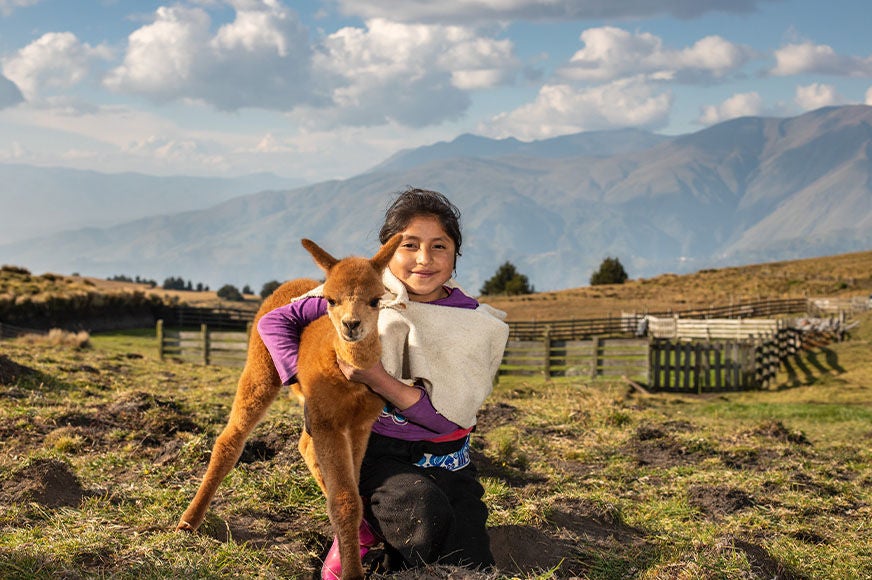 Luz, 11, kneels beside an alpaca in the Andean highlands. Alpacas help improve a family’s overall well-being and income, as well as promote land conservation and rebalance the indigenous ecosystems in the region.