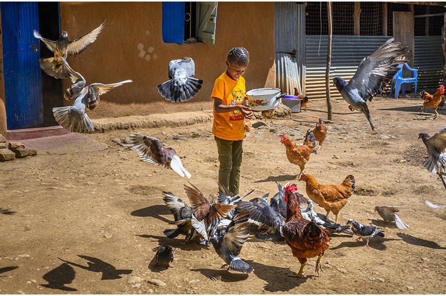 A young girl Rose feeds the pigeons and chickens, which are a good source of food and income for members of the Katito community. (Kenya 2022)